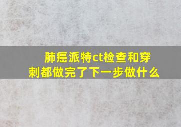 肺癌派特ct检查和穿刺都做完了下一步做什么