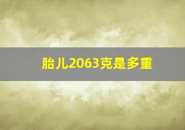 胎儿2063克是多重