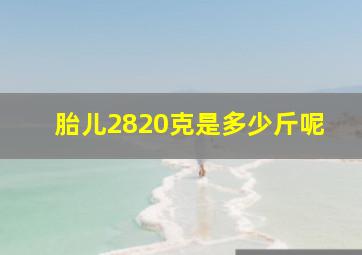 胎儿2820克是多少斤呢