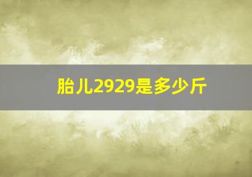 胎儿2929是多少斤