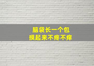 脑袋长一个包摸起来不疼不痒