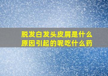 脱发白发头皮屑是什么原因引起的呢吃什么药