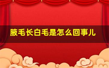 腋毛长白毛是怎么回事儿