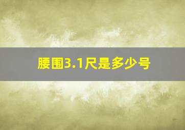 腰围3.1尺是多少号