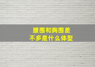 腰围和胸围差不多是什么体型