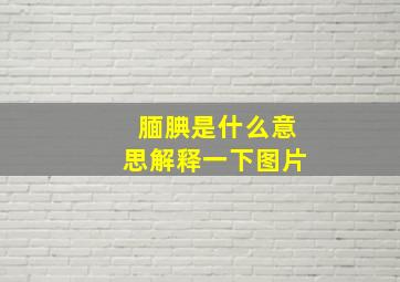 腼腆是什么意思解释一下图片