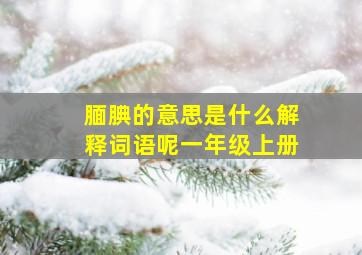 腼腆的意思是什么解释词语呢一年级上册