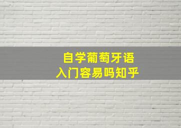 自学葡萄牙语入门容易吗知乎