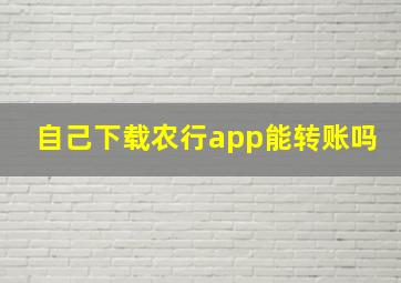 自己下载农行app能转账吗