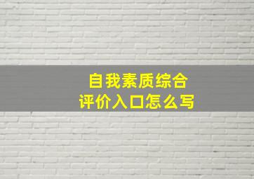 自我素质综合评价入口怎么写