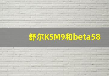 舒尔KSM9和beta58