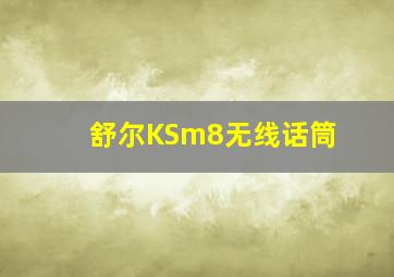 舒尔KSm8无线话筒