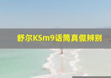 舒尔KSm9话筒真假辨别