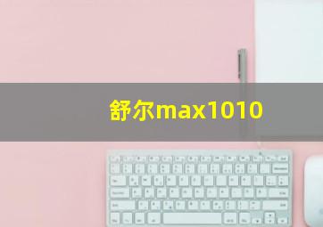 舒尔max1010