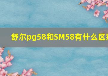 舒尔pg58和SM58有什么区别