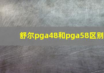 舒尔pga48和pga58区别