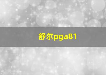 舒尔pga81