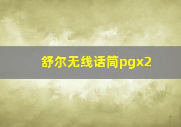 舒尔无线话筒pgx2