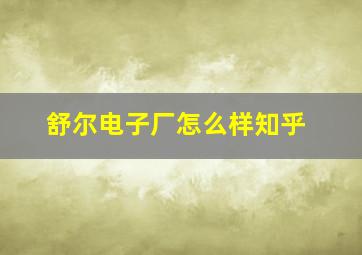 舒尔电子厂怎么样知乎