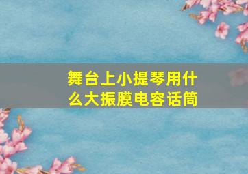 舞台上小提琴用什么大振膜电容话筒