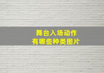 舞台入场动作有哪些种类图片