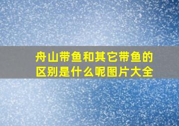 舟山带鱼和其它带鱼的区别是什么呢图片大全