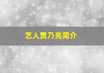 艺人贾乃亮简介