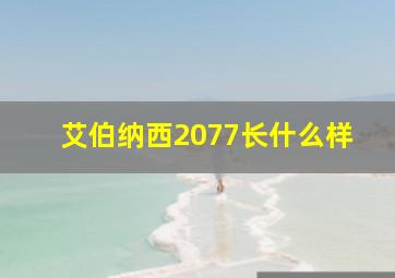 艾伯纳西2077长什么样