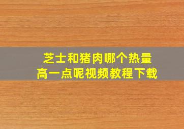 芝士和猪肉哪个热量高一点呢视频教程下载