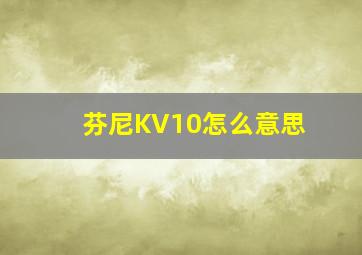 芬尼KV10怎么意思