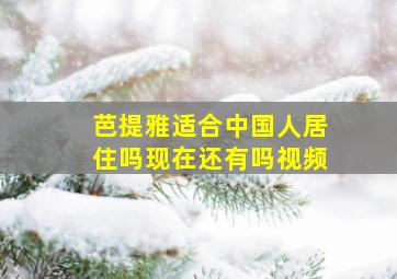 芭提雅适合中国人居住吗现在还有吗视频