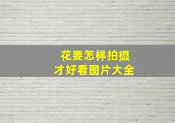 花要怎样拍摄才好看图片大全