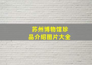 苏州博物馆珍品介绍图片大全