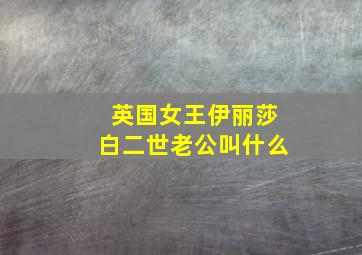 英国女王伊丽莎白二世老公叫什么