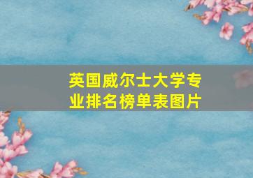 英国威尔士大学专业排名榜单表图片