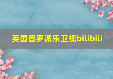 英国普罗派乐卫视bilibili