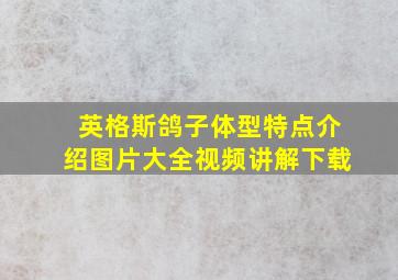 英格斯鸽子体型特点介绍图片大全视频讲解下载