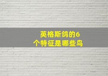 英格斯鸽的6个特征是哪些鸟