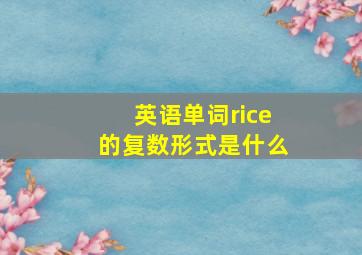 英语单词rice的复数形式是什么