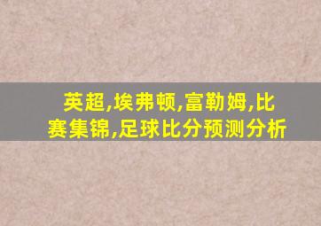 英超,埃弗顿,富勒姆,比赛集锦,足球比分预测分析