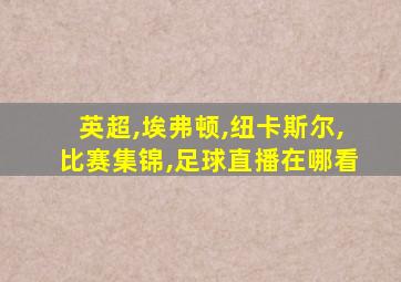 英超,埃弗顿,纽卡斯尔,比赛集锦,足球直播在哪看