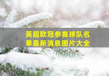 英超欧冠参赛球队名单最新消息图片大全