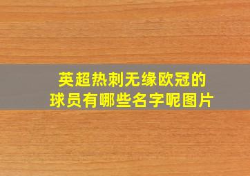 英超热刺无缘欧冠的球员有哪些名字呢图片