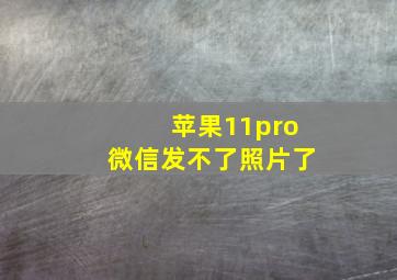 苹果11pro微信发不了照片了