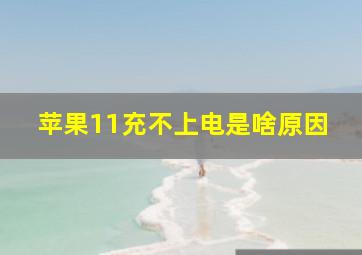 苹果11充不上电是啥原因