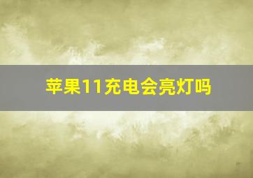 苹果11充电会亮灯吗