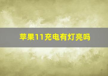 苹果11充电有灯亮吗