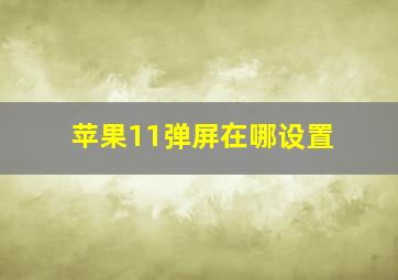 苹果11弹屏在哪设置