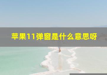 苹果11弹窗是什么意思呀