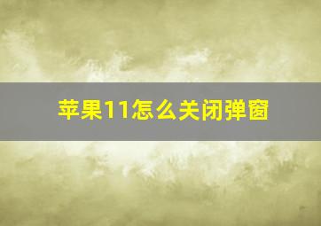 苹果11怎么关闭弹窗